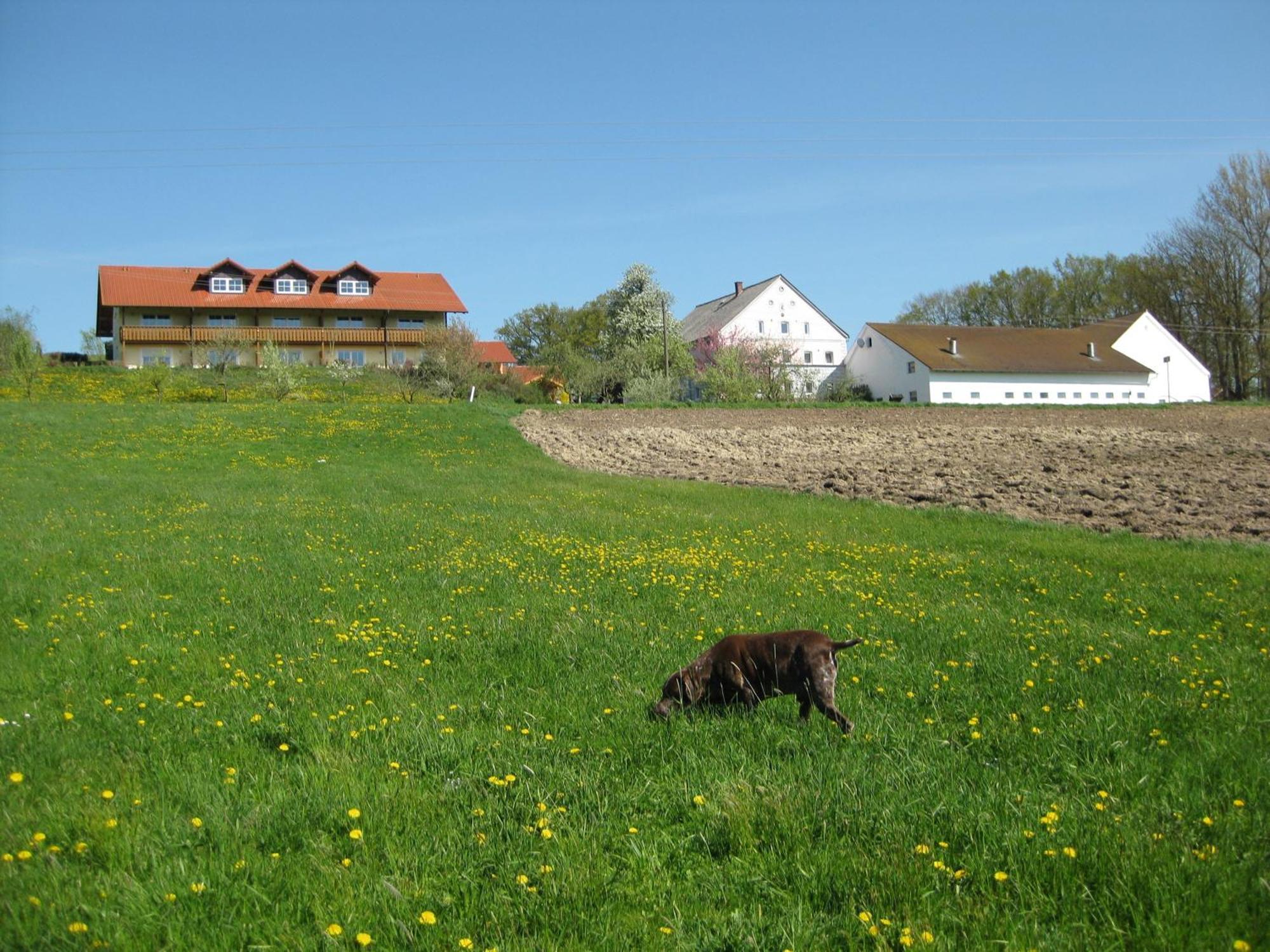 Ferienhof Rieger Rotthalmuenster Exterior foto